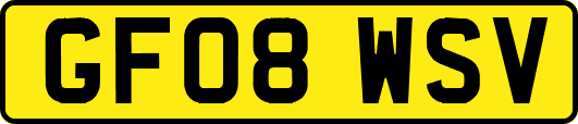 GF08WSV