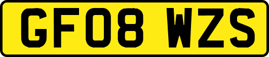 GF08WZS