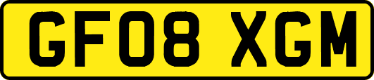 GF08XGM