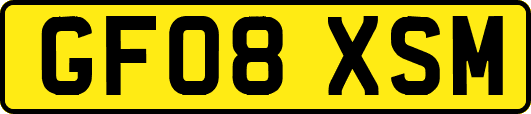 GF08XSM