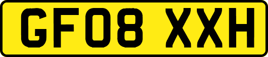 GF08XXH