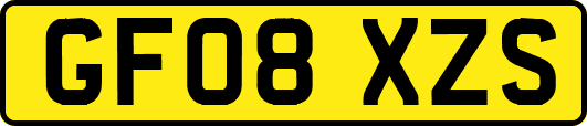GF08XZS