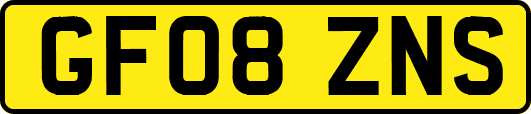GF08ZNS