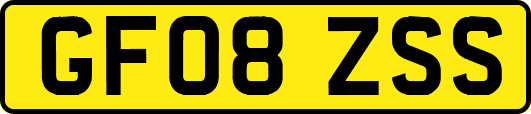 GF08ZSS