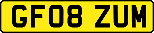 GF08ZUM