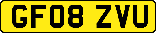 GF08ZVU