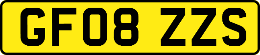 GF08ZZS