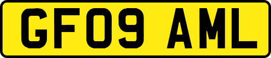 GF09AML