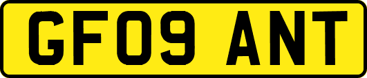 GF09ANT