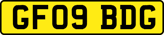 GF09BDG