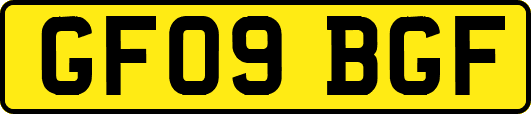 GF09BGF