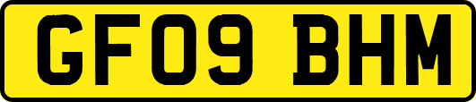 GF09BHM