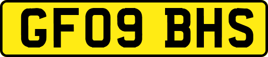 GF09BHS