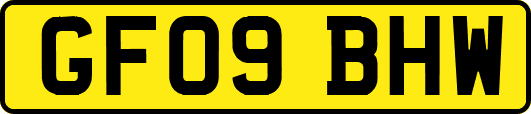 GF09BHW