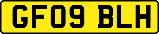 GF09BLH