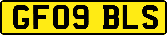 GF09BLS