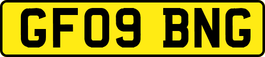 GF09BNG