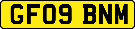 GF09BNM