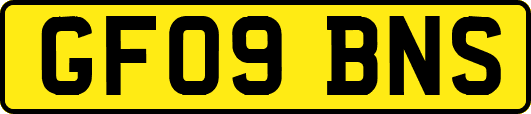 GF09BNS