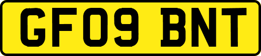 GF09BNT