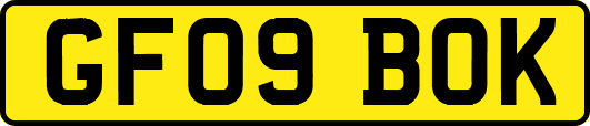 GF09BOK