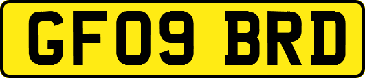 GF09BRD