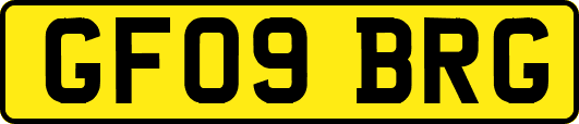 GF09BRG