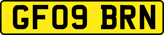 GF09BRN