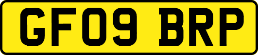 GF09BRP