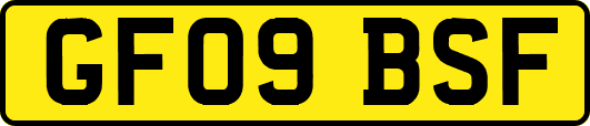 GF09BSF