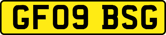 GF09BSG