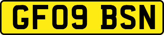 GF09BSN