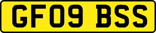 GF09BSS