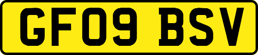 GF09BSV