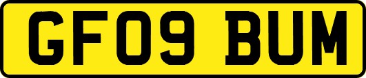 GF09BUM