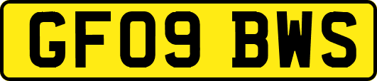 GF09BWS