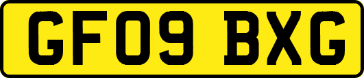 GF09BXG
