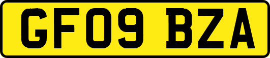 GF09BZA