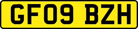 GF09BZH