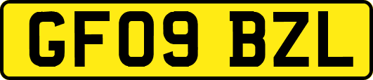 GF09BZL