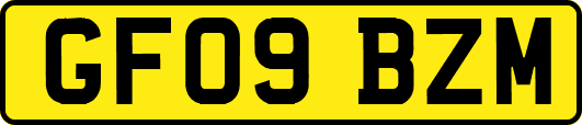 GF09BZM