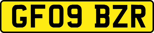 GF09BZR