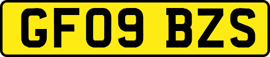 GF09BZS