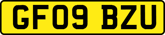 GF09BZU