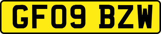 GF09BZW