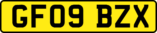 GF09BZX