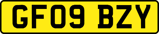 GF09BZY