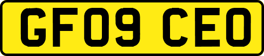 GF09CEO