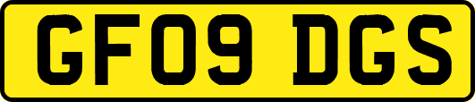 GF09DGS