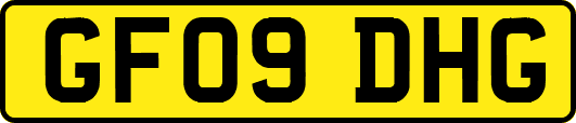 GF09DHG